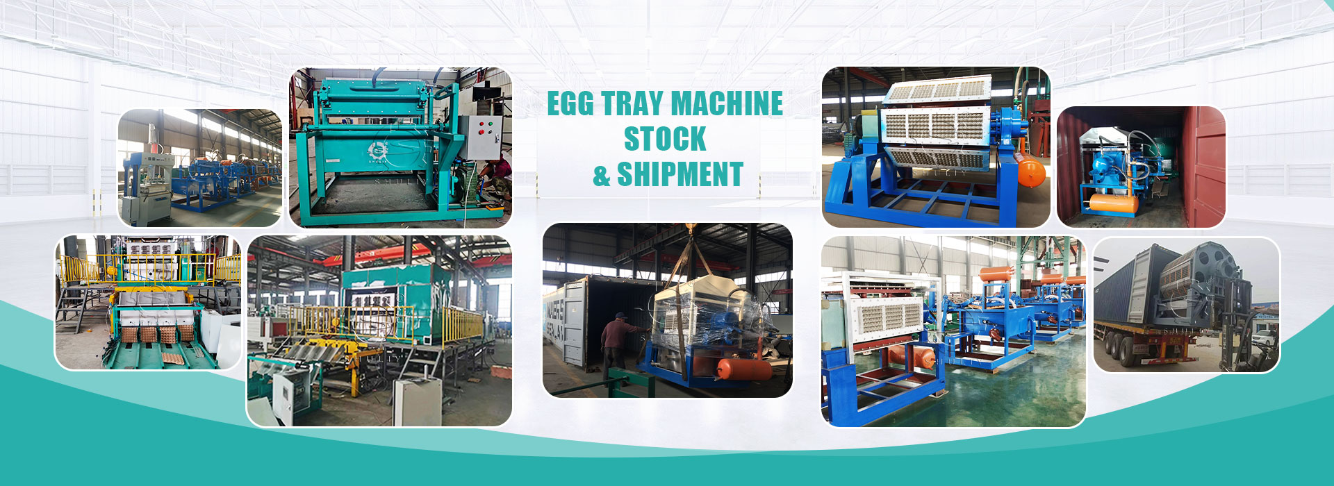 Máquina de cartón de huevos Shuliy a la venta