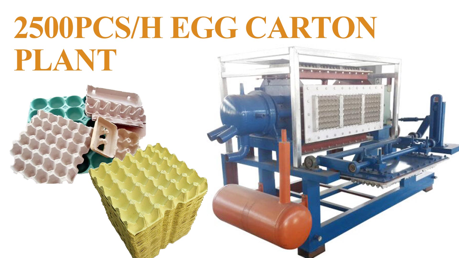 2500pcs/h Egg Crate Processing Plant 