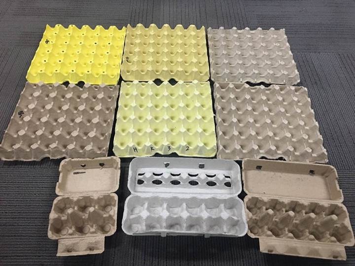 egg trays applications