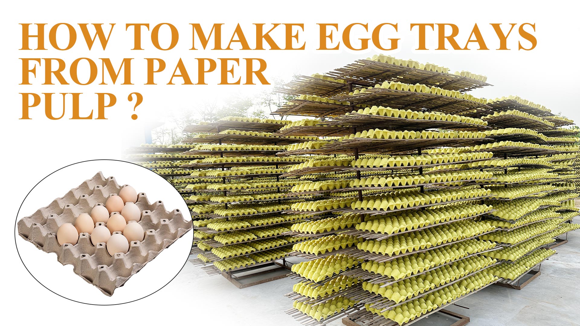 Producción en masa de bandejas de huevos en planta.