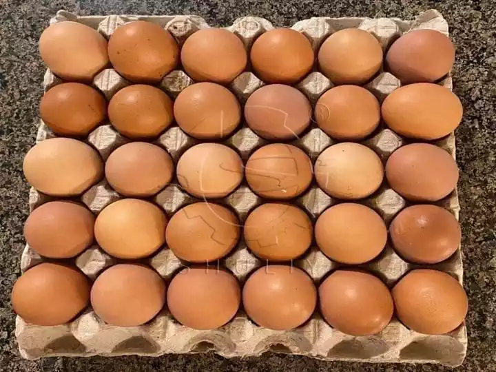 鸡蛋托盘，装有 30 个鸡蛋