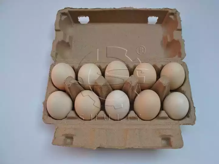 cartón de huevos con tapa