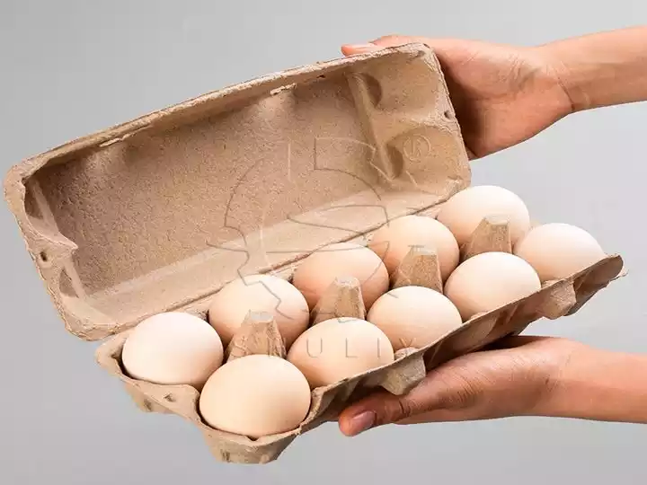 bandeja para huevos con tapas